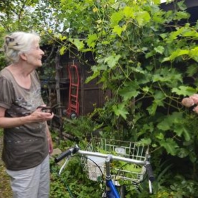 ThereseSiehtAlles 2026-06-21 18.27.
